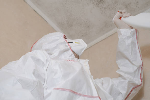 Certified Mold Removal in Fairview Park, IN